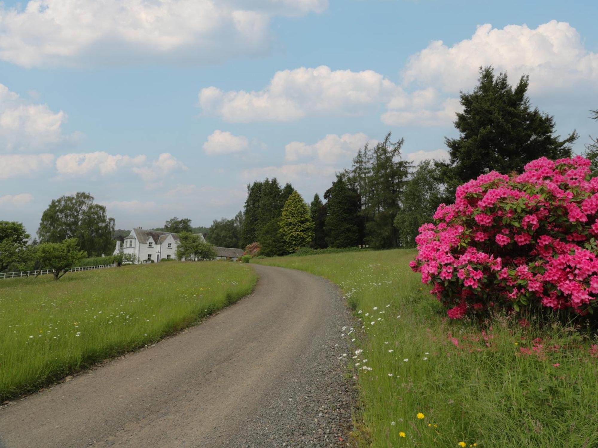 Fordie Lodge Crieff Zewnętrze zdjęcie